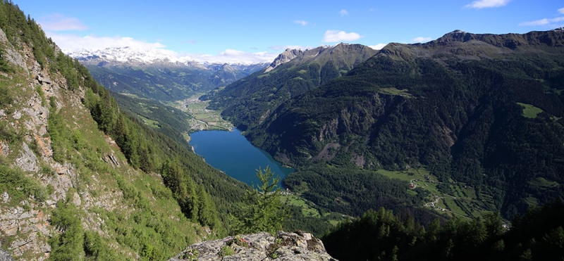 Naturbestattung in der Schweiz - Waldbestattung
